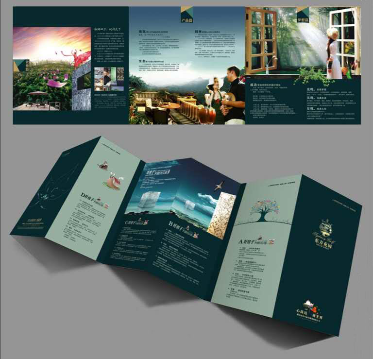 五折页.jpg